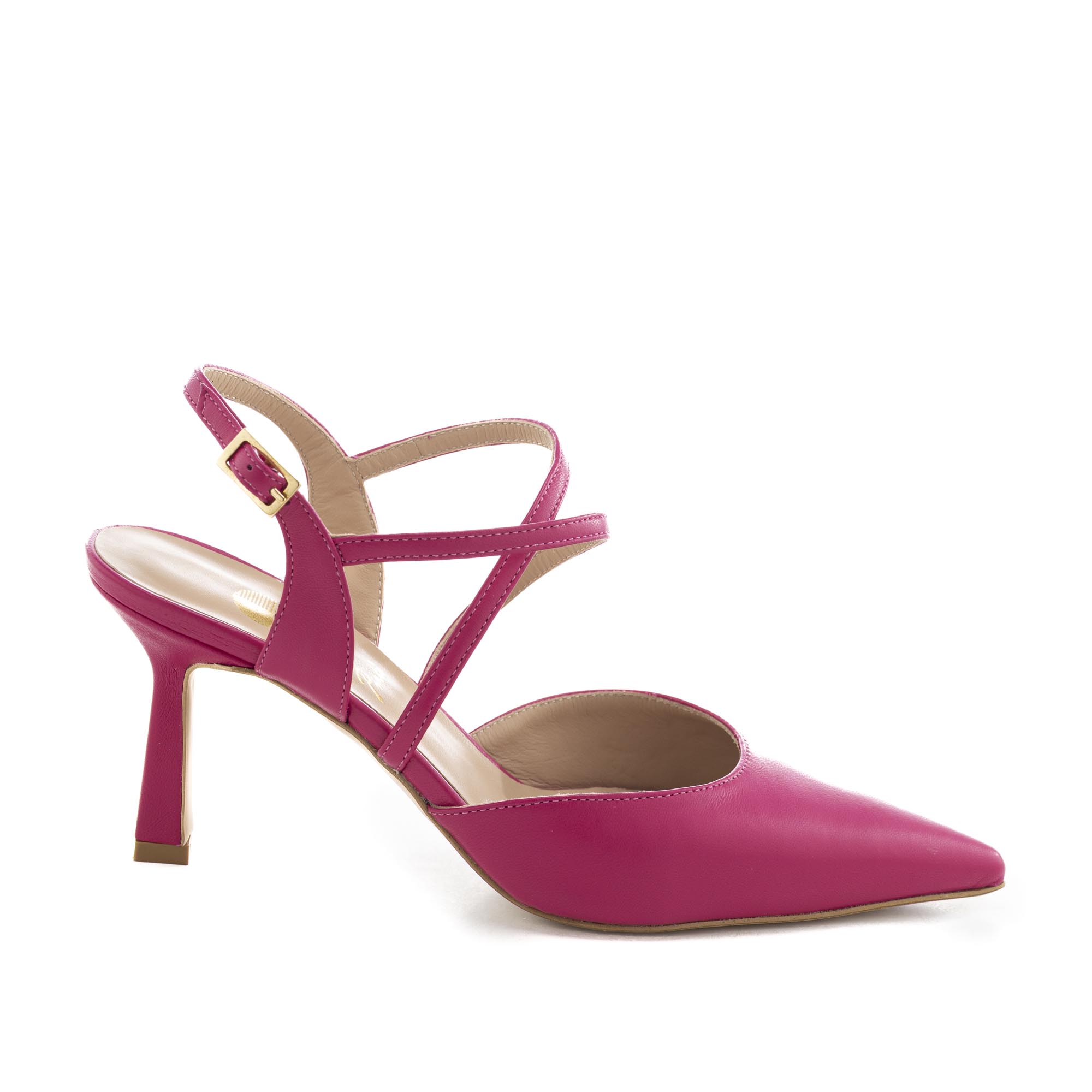 Art.318 Fuxia